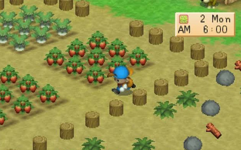 Game-ps1-harvest-moon-back-to-nature