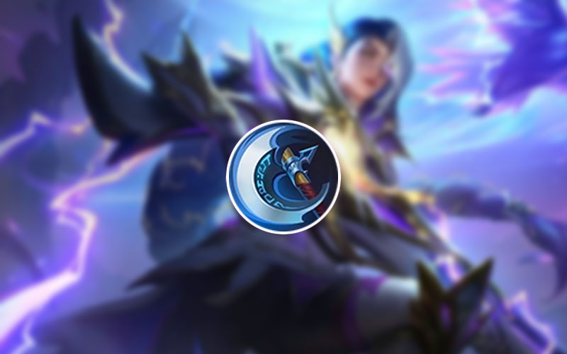 Build-lesley-berserker-fury