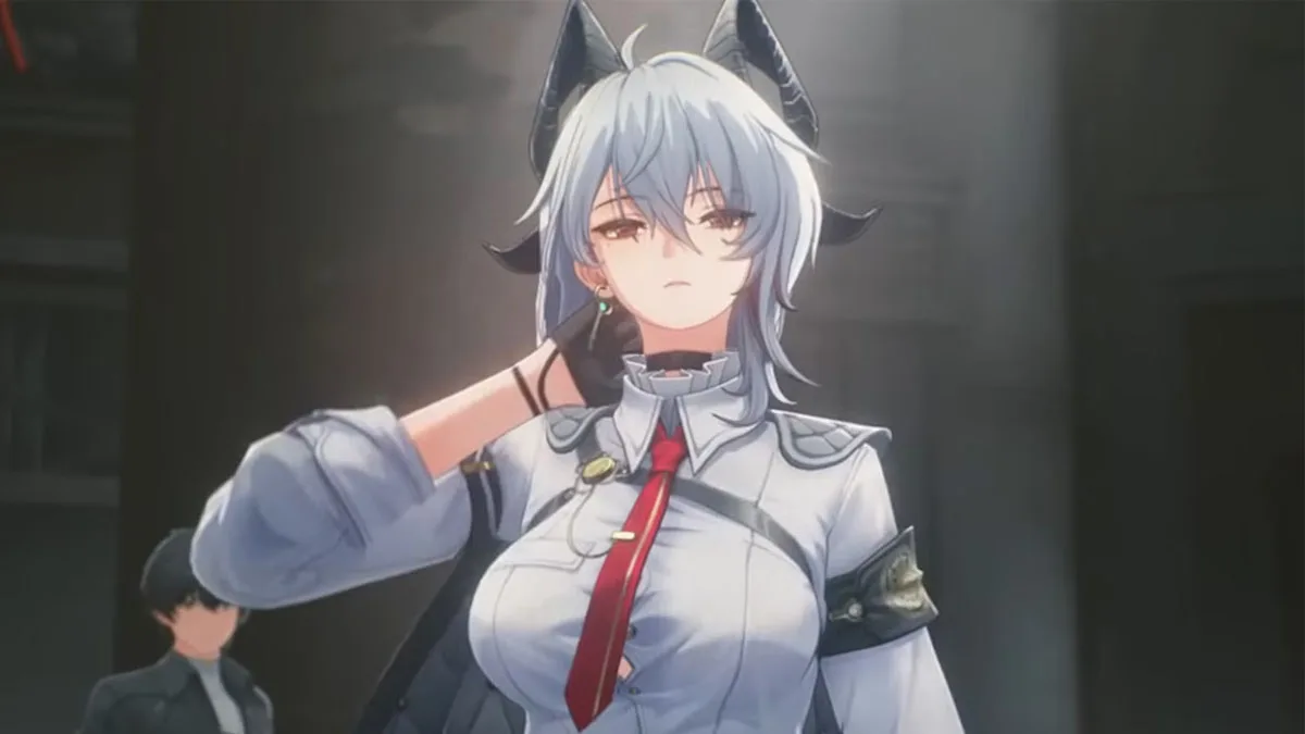 Build Zani Wuthering Waves