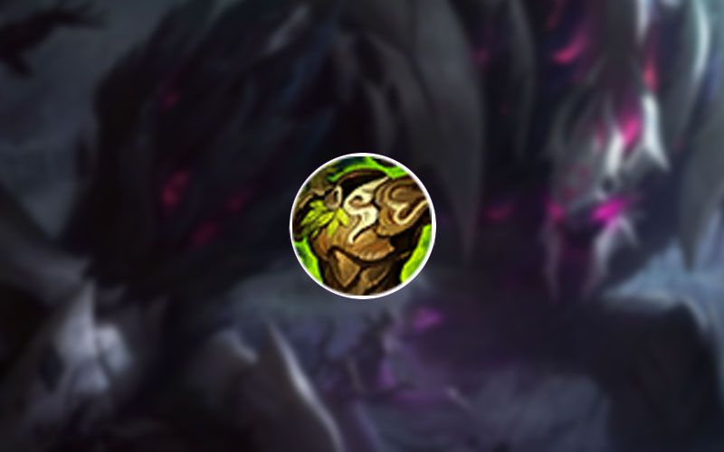 Build Malphite Warmog Armor